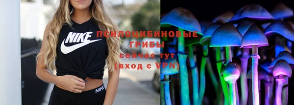 бошки Алзамай