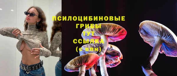 МДПВ Алексин