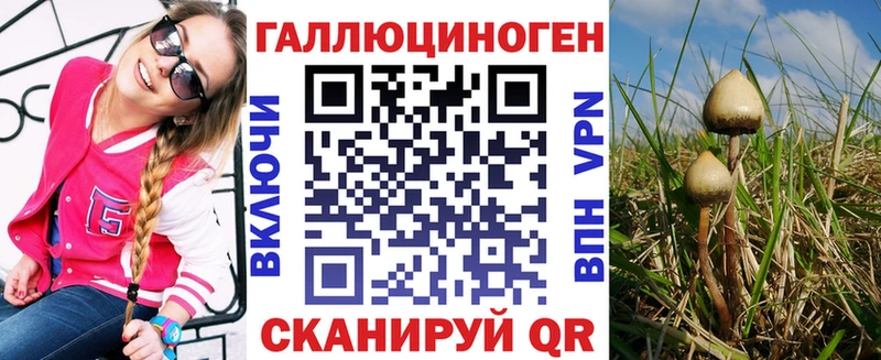 купить   Курганинск  Псилоцибиновые грибы Psilocybine cubensis 